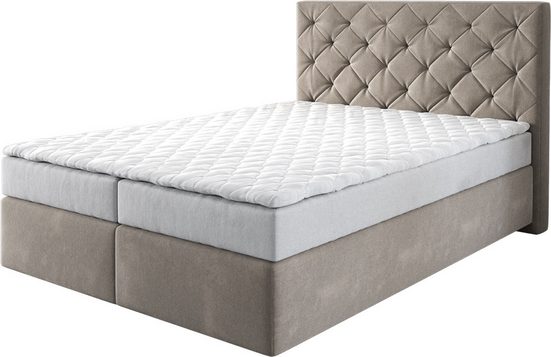 DELIFE Boxspringbett Dream-Great Mikrofaser Grau 120x200 cm mit Matratze und Topper mehr Jubiläumsangebot