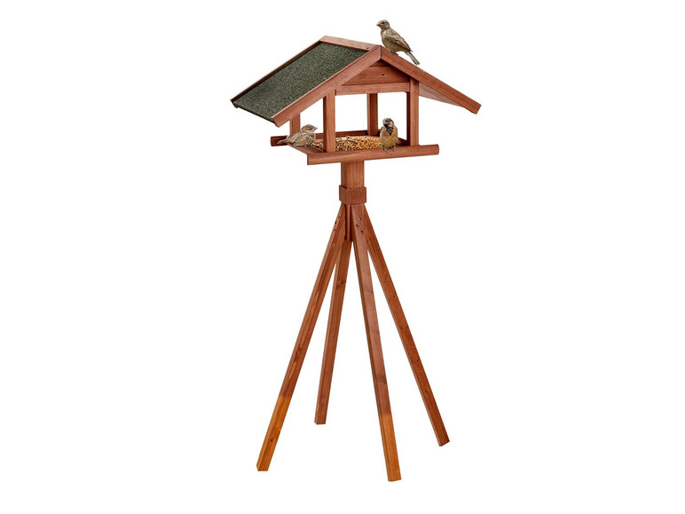 Karlie Bird's World Wild Remo Tiefpreis