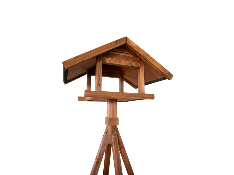 Karlie Bird's World Wild Remo Tiefpreis