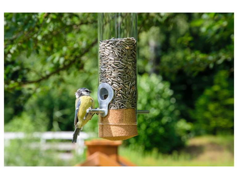dobar Futterspender »Premium-Pickbar«, aus Echtglas Super Sparpreis