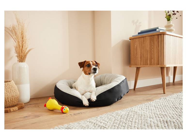 zoofari® Hundebett, mit kuscheligem Plüsch Letzte 2 Tage