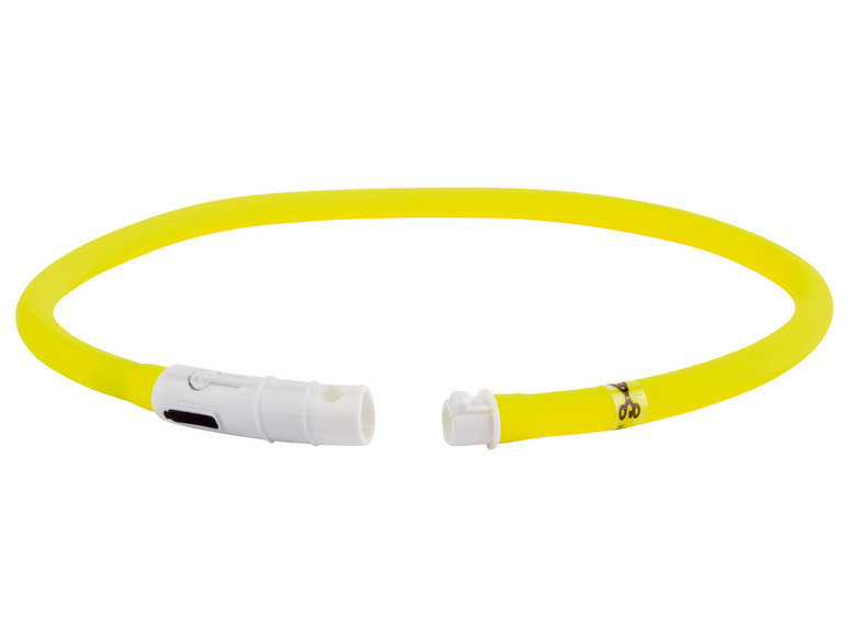 zoofari® Hundehalsband, mit LED Vierteljährliche Förderung