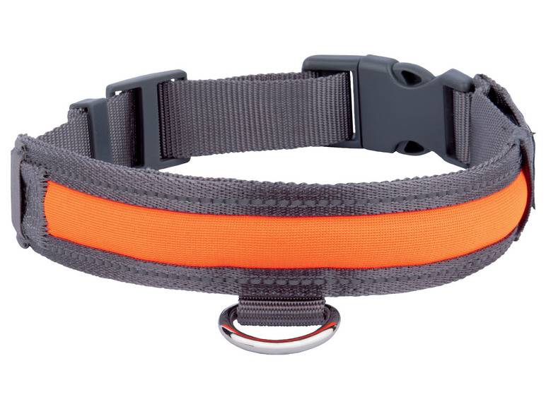 zoofari® Hundehalsband, mit LED Vierteljährliche Förderung