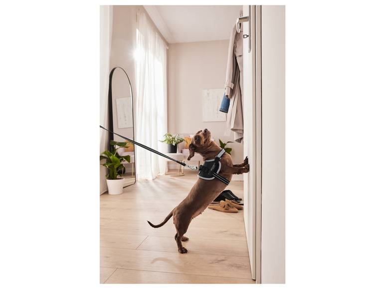 zoofari® Hundegeschirr, mit Klettstickern Bis zu 55% Rabatt