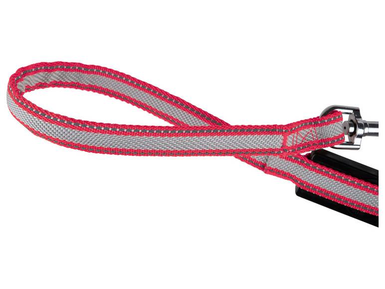 zoofari® Ausziehleine LED, 3 Leuchtfunktionen Nur noch ein Tag übrig