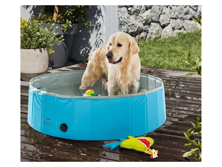 zoofari® Hundepool, Ø 120 x H 30 cm, mit Antirutsch-Boden Clearance-Verkauf