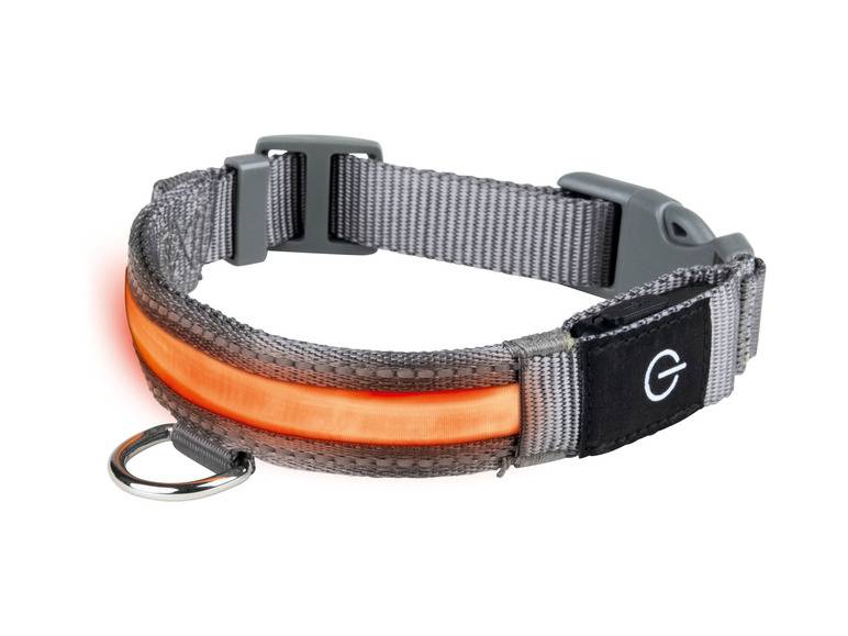 zoofari® LED-Hundeleuchtband, mit wiederaufladbarem Akku Speichern exportieren