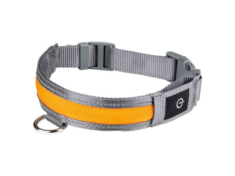 zoofari® LED-Hundeleuchtband, mit wiederaufladbarem Akku Speichern exportieren