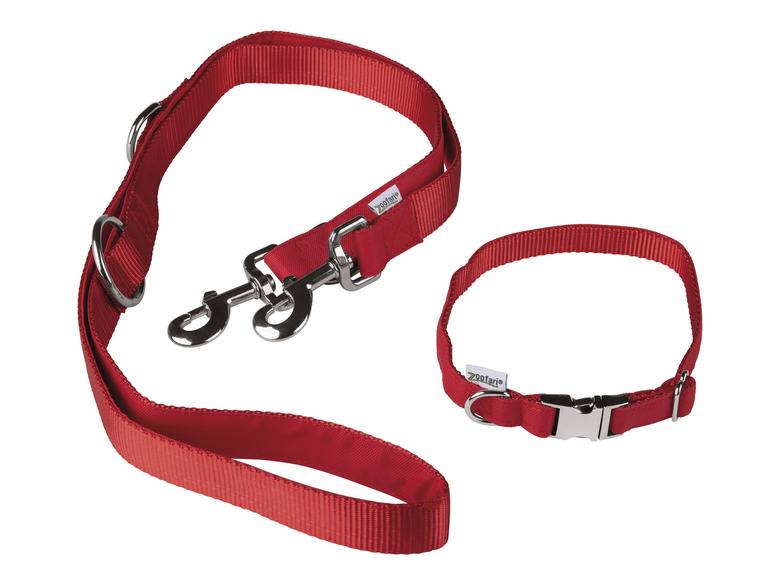 zoofari® Hundehalsband mit Hundeleine 2025