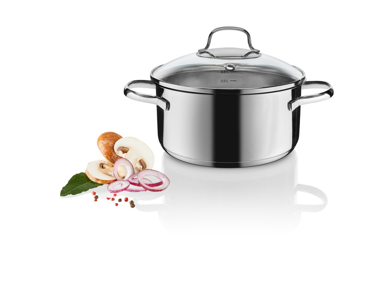 ERNESTO® Edelstahl-Topf, mit Deckel, Ø 20 cm Flash Sale