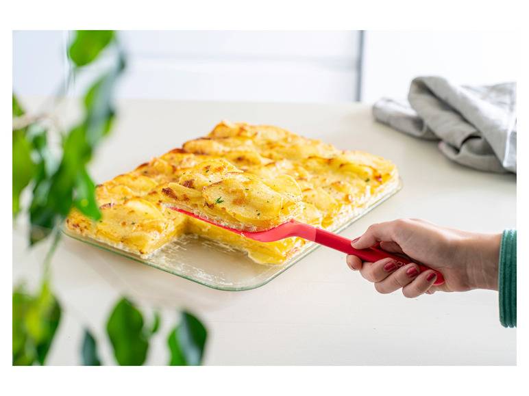 Coox Auflaufform XL, mit Glasboden Online Outlet