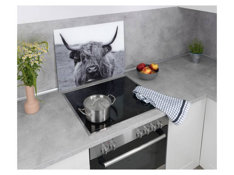 Wenko Glasrückwand, 50 x 60 cm Günstig kaufen