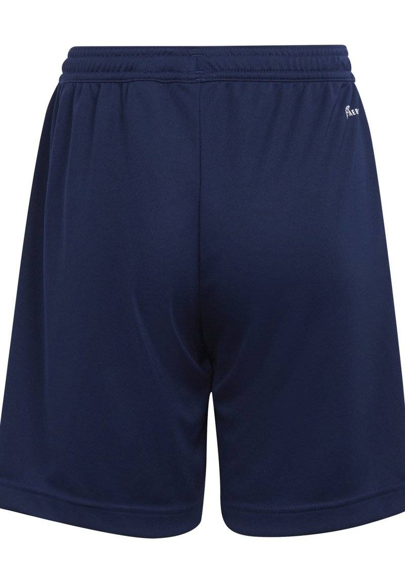 adidas Performance adidas Performance ENTRADA - Sports shorts - blue Vierteljährliche Förderung