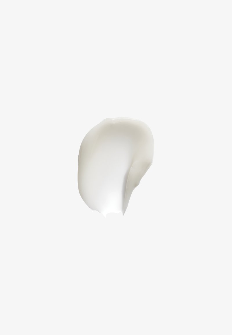 The Ordinary The Ordinary SQUALANE + AMINO ACIDS LIP BALM - Lip balm Outlet
