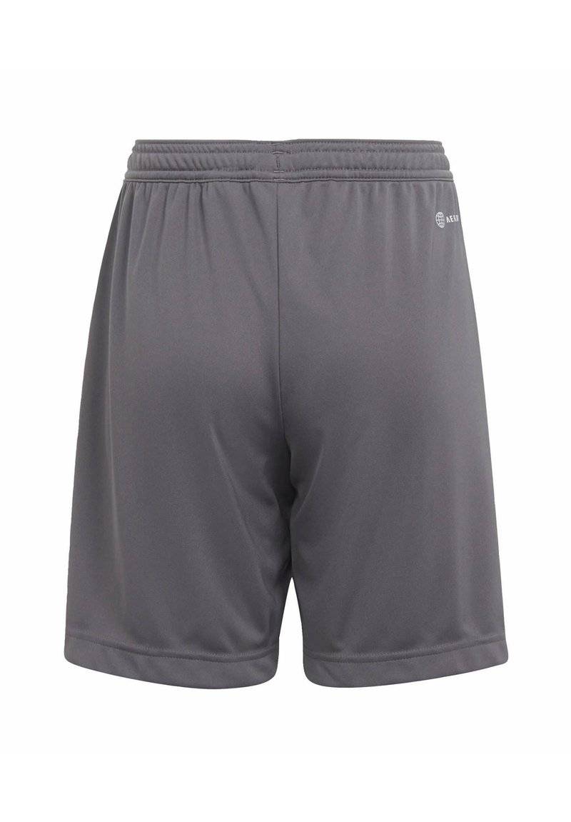 adidas Performance adidas Performance ENTRADA - Sports shorts - grey Zeitbegrenzte Promotion