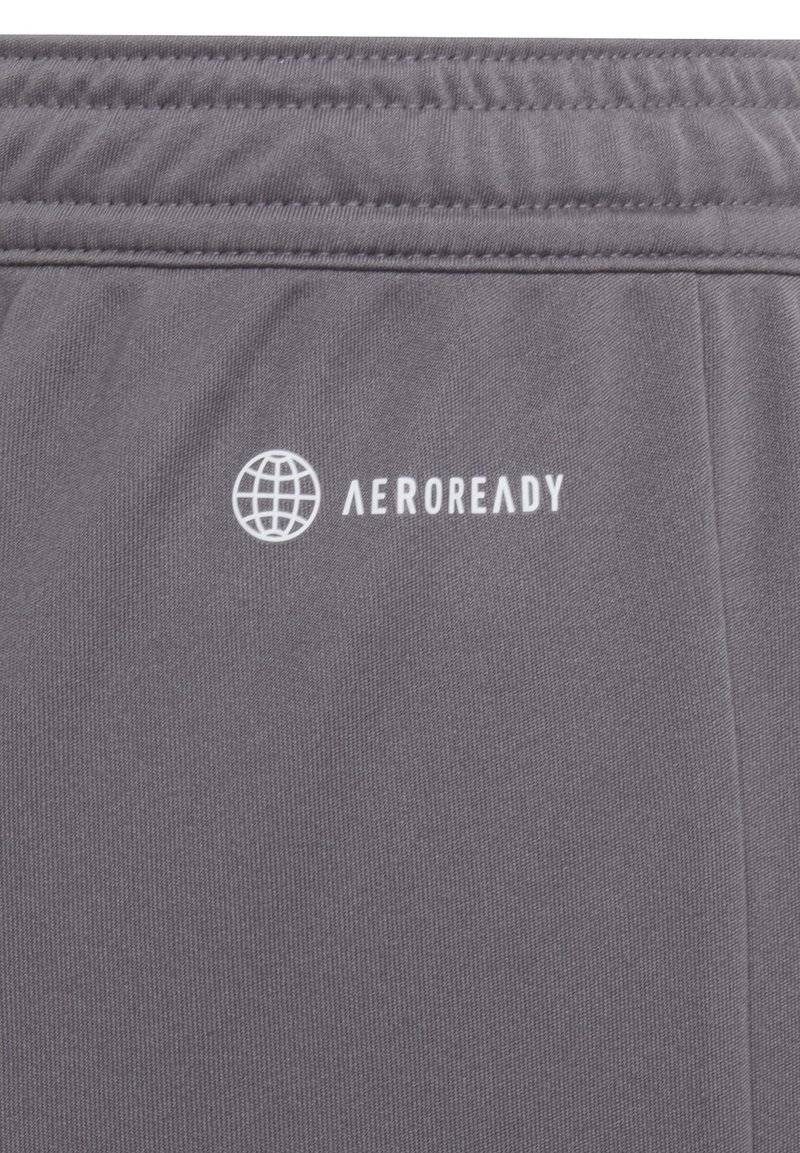 adidas Performance adidas Performance ENTRADA - Sports shorts - grey Zeitbegrenzte Promotion