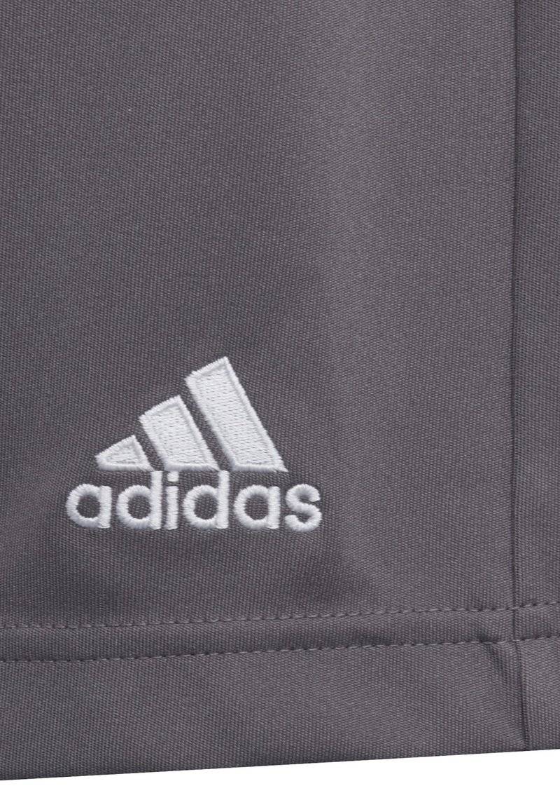 adidas Performance adidas Performance ENTRADA - Sports shorts - grey Zeitbegrenzte Promotion