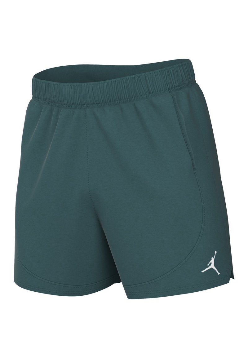 Jordan Jordan Sports shorts - oxidized green Cyber Monday