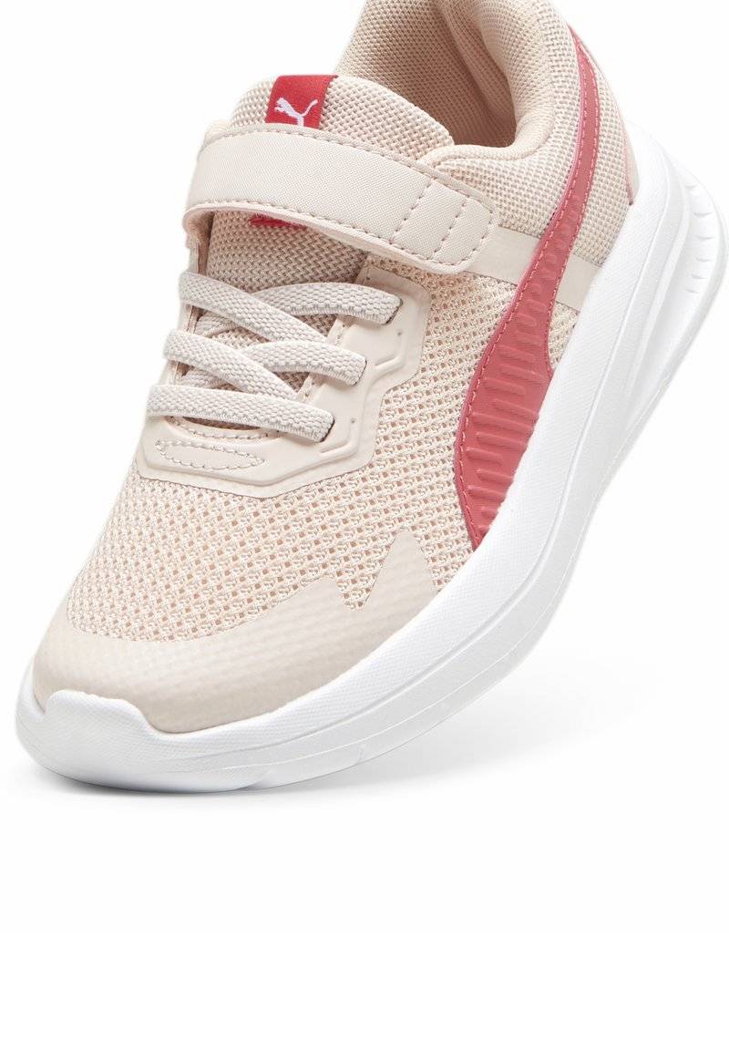Puma Puma EVOLVE - Stability running shoes - island pink white tart cherry Bis zu 50% Rabatt