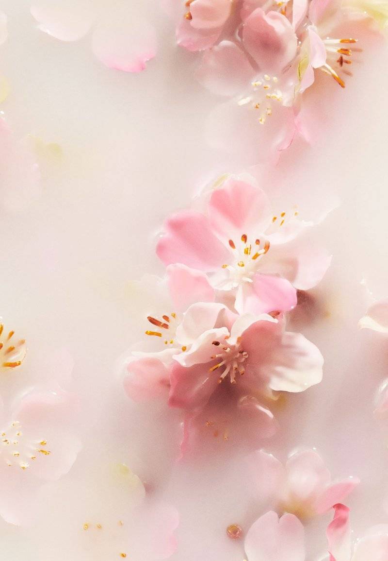 Rituals Rituals SCENTED CANDLE THE RITUAL OF SAKURA - FLORAL - CHERRY BLOSSOM & RICE MILK - Scented candle Blitzverkäufe
