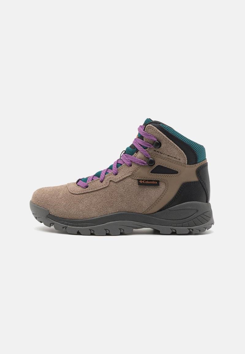 Columbia Columbia NEWTON RIDGE - Hiking shoes Lagerräumung