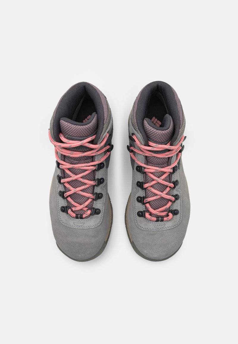 Columbia Columbia NEWTON RIDGE PLUS WATERPROOF AMPED - Hiking shoes Tiefpreis