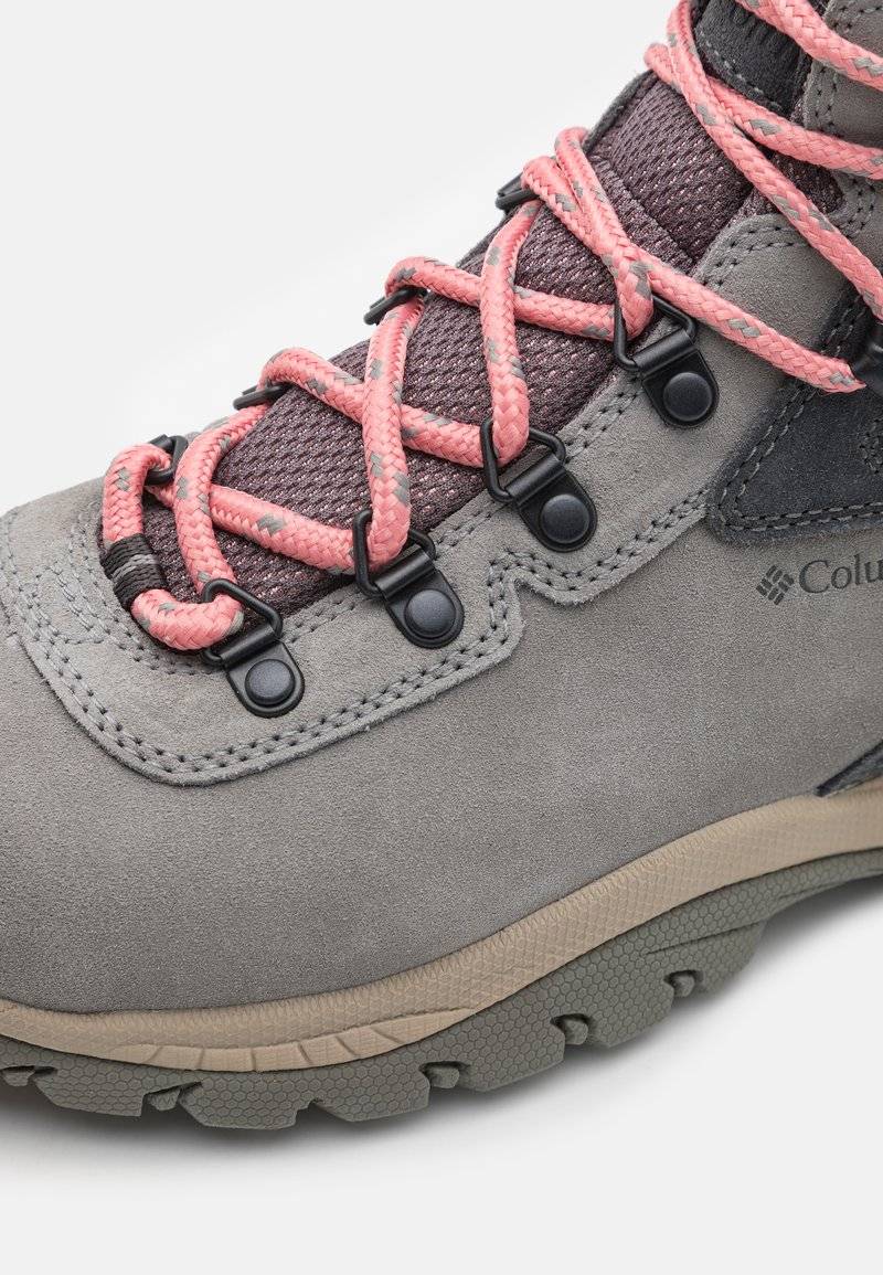 Columbia Columbia NEWTON RIDGE PLUS WATERPROOF AMPED - Hiking shoes Tiefpreis